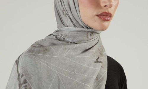 豆芽树图片-豆芽树的功效网-分享豆芽种植技术，豆芽苗知识库